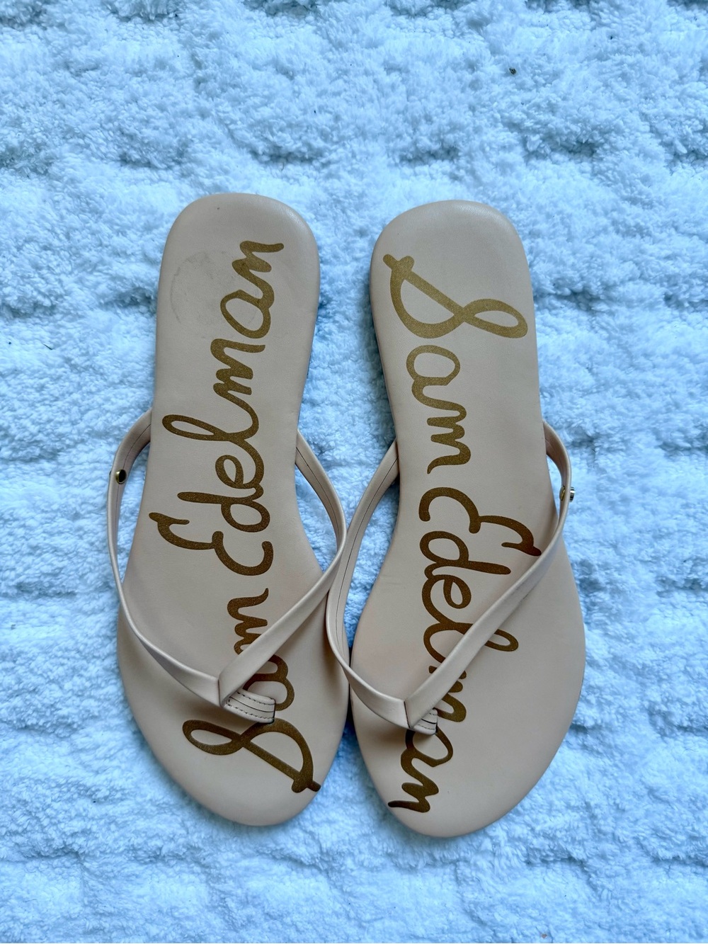 Sam Edelman Sleek Pinkish Nude Flip Flops - Picture 3 of 5